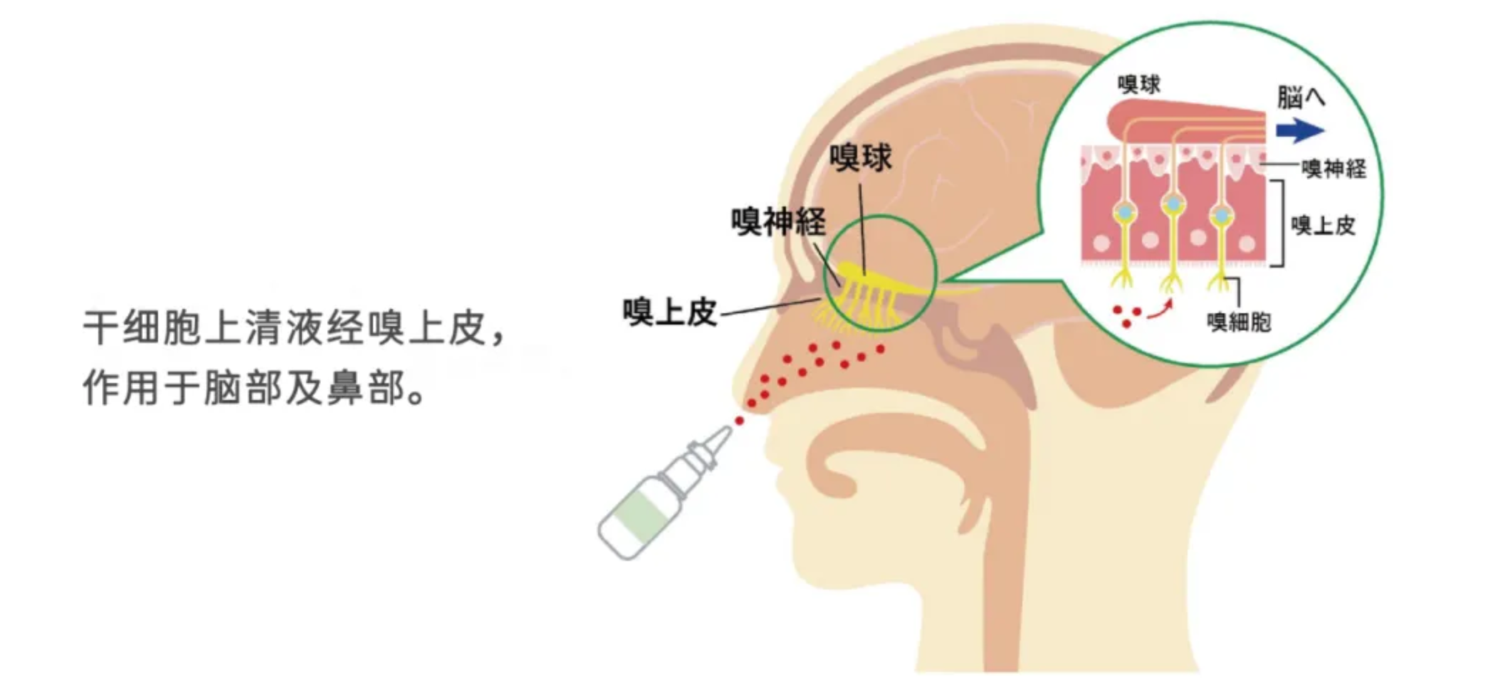 截屏2025-02-24 下午4.25.27.jpg