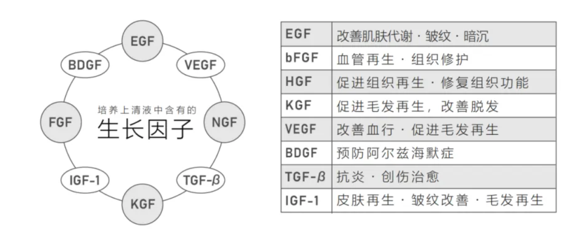 截屏2025-02-24 下午4.25.39.png